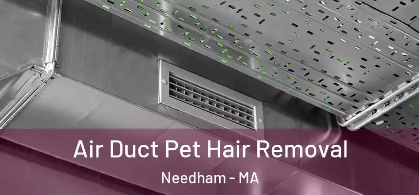 Air Duct Pet Hair Removal Needham - MA