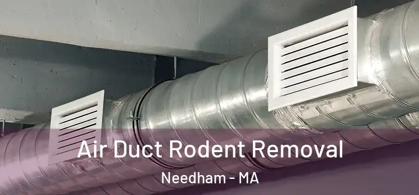  Air Duct Rodent Removal Needham - MA