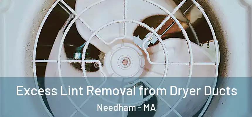  Excess Lint Removal from Dryer Ducts Needham - MA