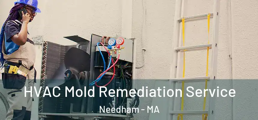  HVAC Mold Remediation Service Needham - MA