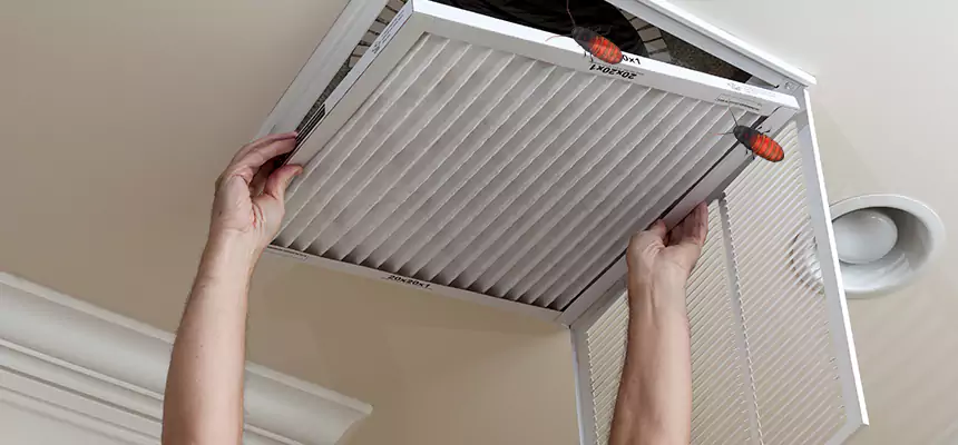 Preventive Cockroach-Proofing for Ducts in Needham