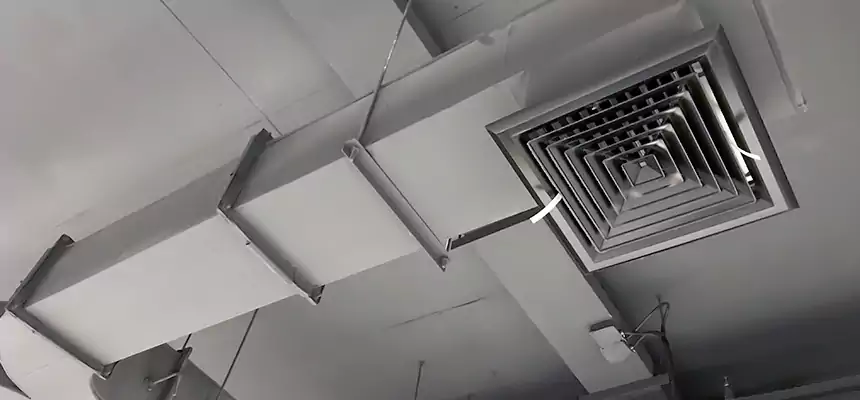 Restorative Allergy Relief Vent Cleaning – Coil, Blower & Housing Detail in Needham