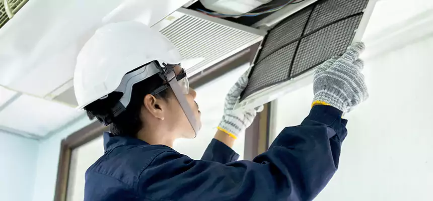 Our Mold & Mildew Removal from Air Ducts Services in Needham, MA