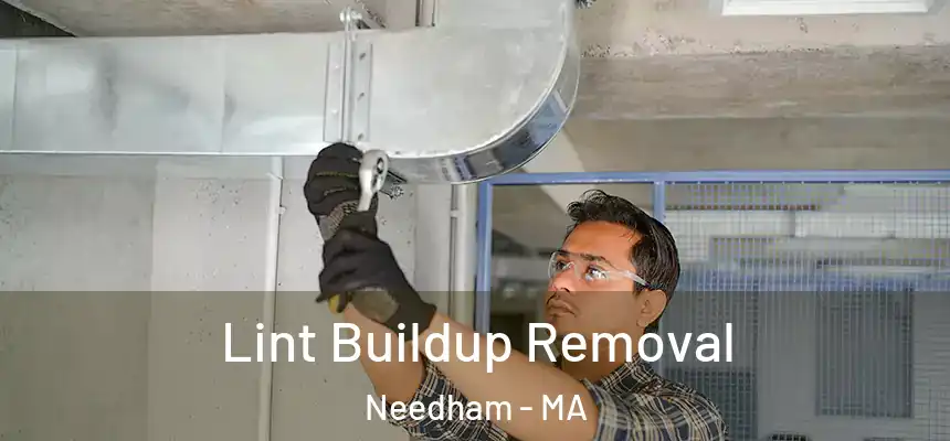  Lint Buildup Removal Needham - MA