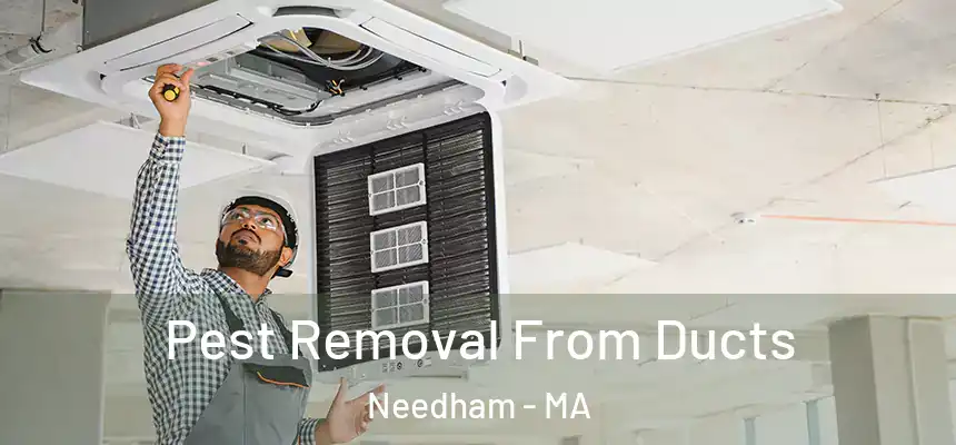 Pest Removal From Ducts Needham - MA