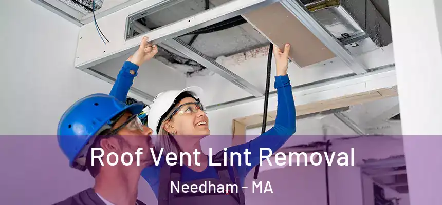  Roof Vent Lint Removal Needham - MA