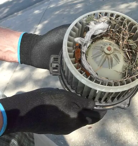 About Air Duct Mice Removal in Needham, MA