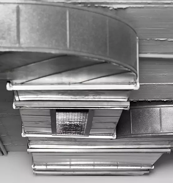 Professional Air Duct Pest Removal in Needham, MA