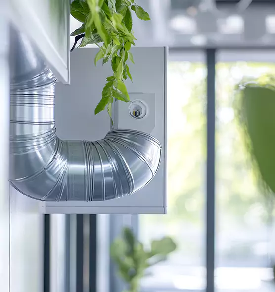 Professional Eco-Safe Dryer Vent Cleaning in Needham, MA