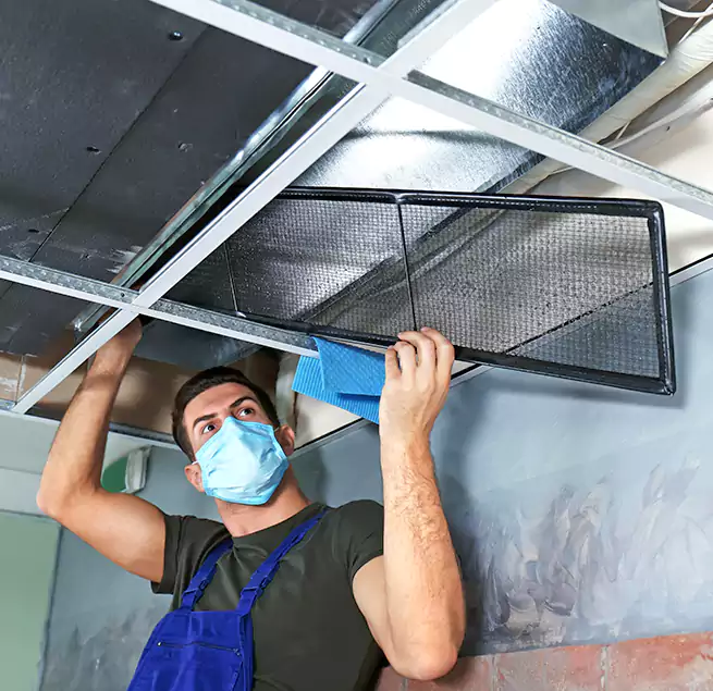 Why Homeowners Businesses Trust Us in Needham, MA