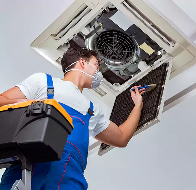 Why Homeowners & Businesses Trust Us in Needham, MA