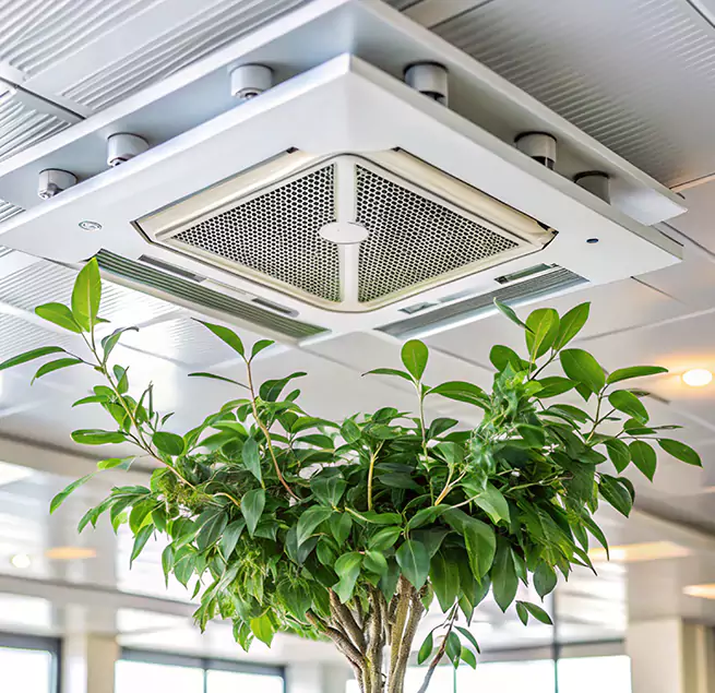 Why Homeowners & Businesses Trust Us in Needham, MA